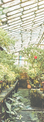 Garden Experience