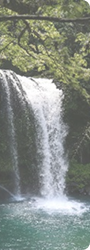 Waterfall Hike